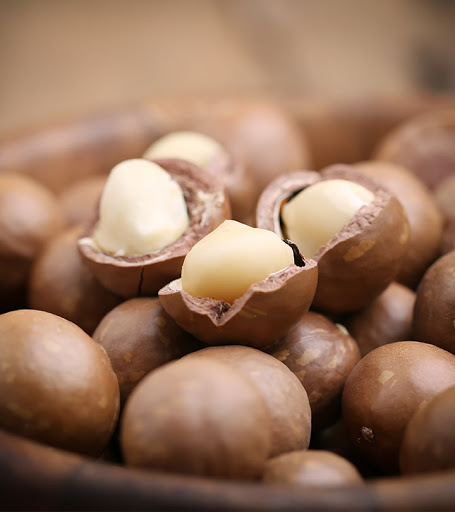 vietnam-macadamia-nuts-4